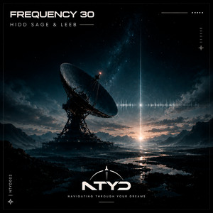 Frequency 30 by Hidd Sage, LEEB