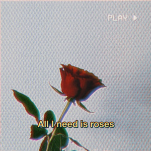 all i need is roses by LVTE BLOOMER