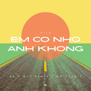 Em Có Nhớ Anh Không (feat. BM Music Group) [NB x NVT Remix]