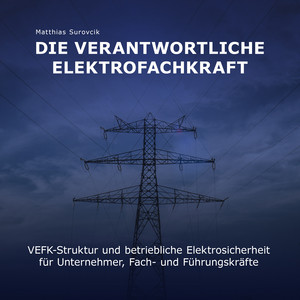 Die Verantwortliche Elektrofachkraft (VEFK-Struktur und Betriebliche Elektrosicherheit für Unternehmer, Fach und Führungskräfte)