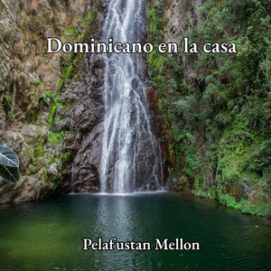 dominicano en la casa by palafustan mellon