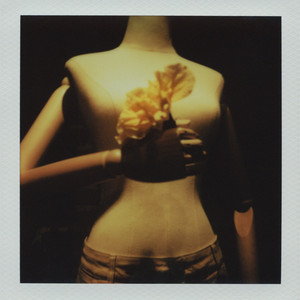 Shallow by Dipsea Flower