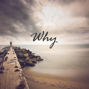 Why by Memo Pro
