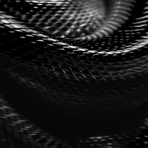 Snake - Resurrected by Halflives