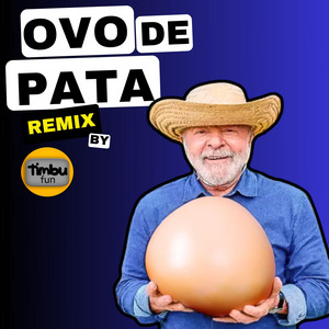 Timbu Fun - Ovo de Pata (Remix)