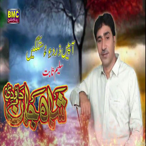 Shah Jan Dawoodi - Aapein Zirdi O Sutkagi
