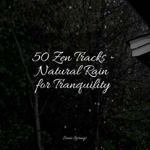 50 Zen Tracks - Natural Rain for Tranquility album