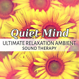 Quiet Mind: Ultimate Relaxation Ambient Sound Therapy album