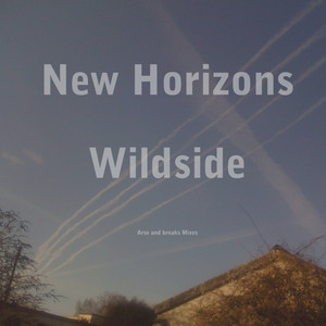 Portada de Wildside - Arse Mix