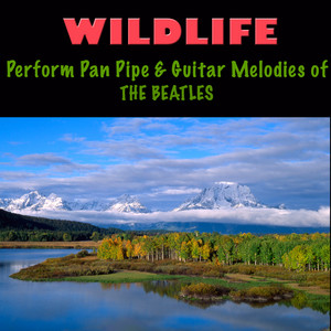 Wildlife - And I Love Her