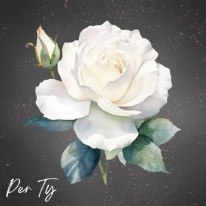 Naldi - Per Ty (Rilo Beats Remix)