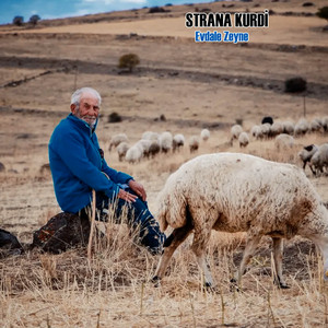 Strana Kurdi - Daye