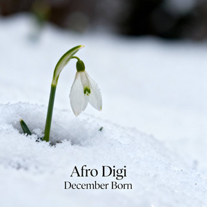 Afro Digi - December Born