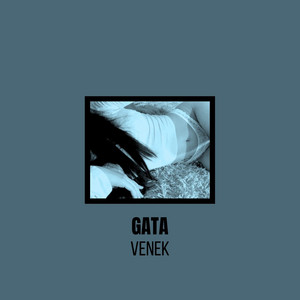 Gata by Venek