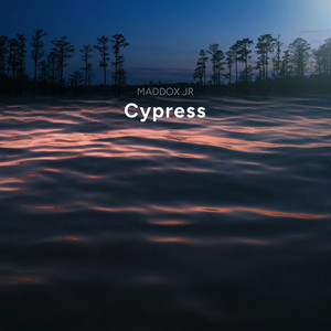 Cypress by Maddox JR