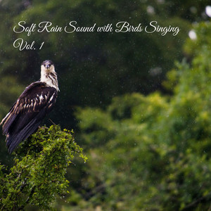 Soft Rain Sound with Birds Singing Vol. 1 album