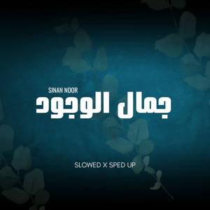 The Beauty of Existence - Slowed by Sinan Noor, Rabiul Rhmn