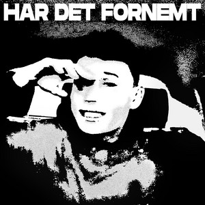 Har det fornemt