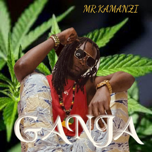 Mr Kamanzi