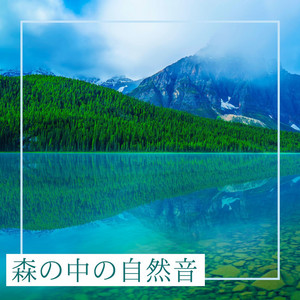 森の中の自然音: 川のせせらぎと鳥のさえずり, リラックスBGM