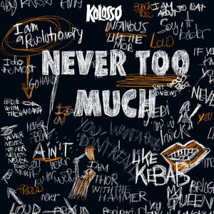 Portada de Never Too Much