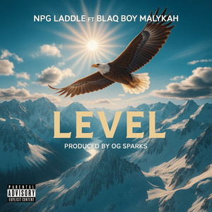 NPG Laddle - Level (feat. Blaq Boy Malykah)