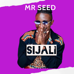 Sijali by Mr Seed, Timmy Tdat