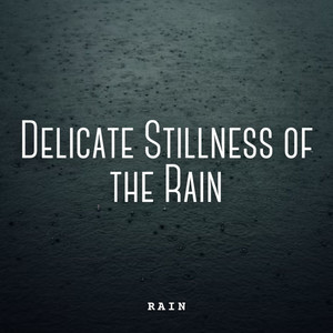 Rain: Delicate Stillness of the Rain album