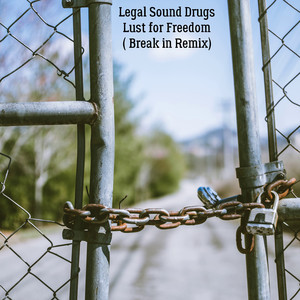 Обкладинка: Lust for Freedom( Break in Remix)