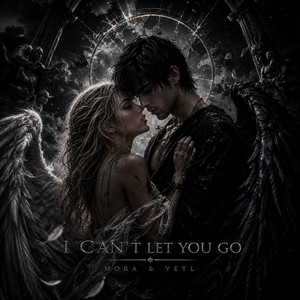 I Can't Let You Go by Veylmoire