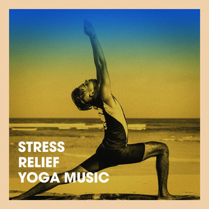 Stress relief yoga music album