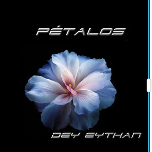Petalo by Dey eythan