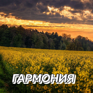 Сергей Грищук - БЕЛЫЕ ЛЕБЕДИ
