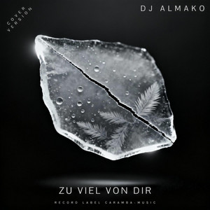 ZU VIEL VON DIR - Coverversion by DJ ALMAKO