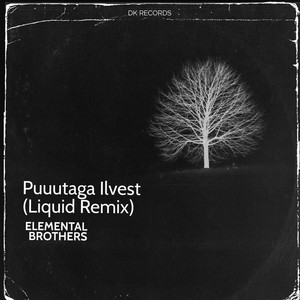 Puutaga Ilvest - Liquid DnB remix