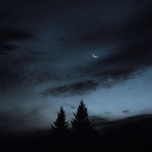 gentle night by abella bronte