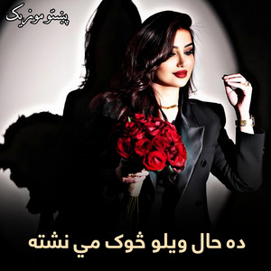 پښتو موزیک - ده حال ویلو ځوک مي نشته پښتو موزیک || Da hal weylo tsok me nashta || غزل