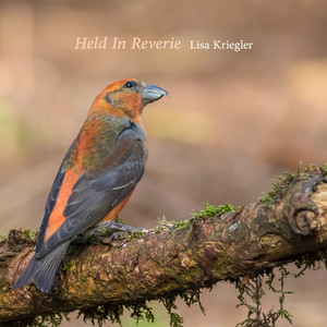 Held In Reverie by Lisa Kriegler