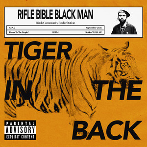 Tiger in the back by Quadry