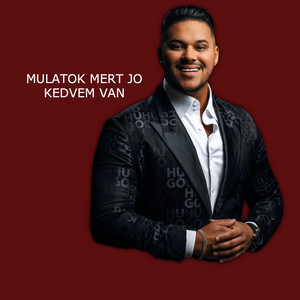 Váradi Olasz - Mulatok Mert Jó Kedvem