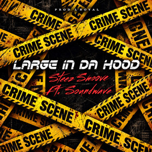 Large in da hood by Steez Smoove, Soundwave