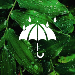 Rain Sounds for Sleeping album