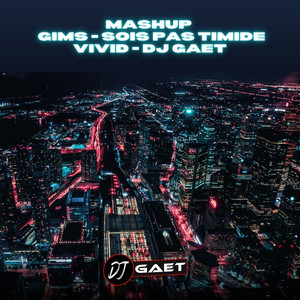 Dj gaet - SOIS PAS TIMIDE (Mashup DJ GAET) [Radio Edit]