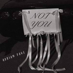 NOT YOU by Adrian Paul