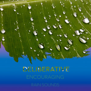 zZz Deliberative Encouraging Rain Sounds zZz album