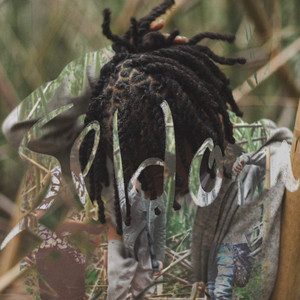 Portada de Seldom