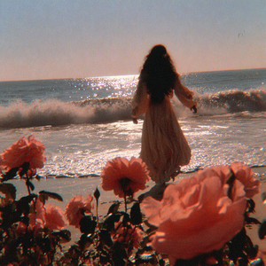 海辺の花 by Toji