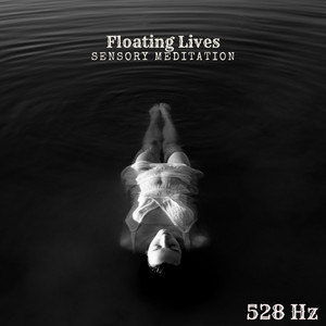 Floating Lives 528 Hz by Sensory Meditation, Alma Lin, Nina Nalo, Flame Timo, Jasper Whisper