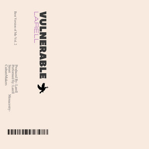Portada de Vulnerable