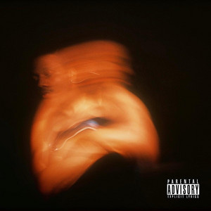 Wylin by Evvo